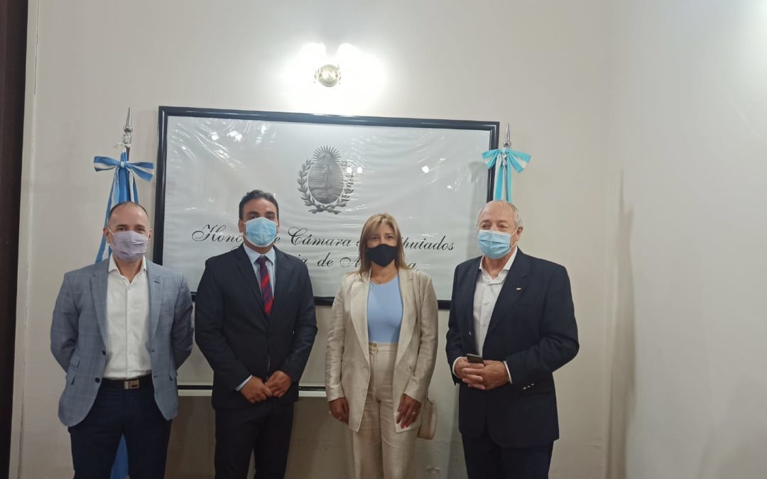 La Cámara de Diputados de Mendoza distinguió hoy a Graciela Funes de la Cámara de Comercio, Industria y Agricultura de Gral. San Martín