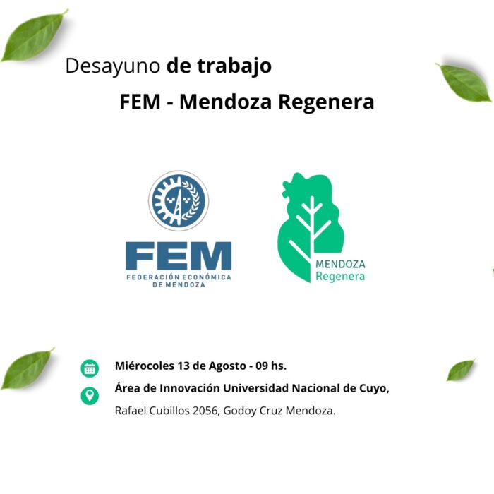 WhatsApp Image 2025-08-04 at 08.49.20